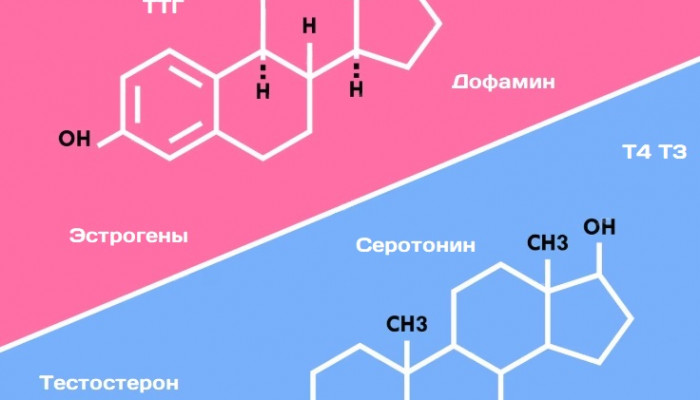 Гормоны и перепады настроения: как химия управляет нашими эмоциями